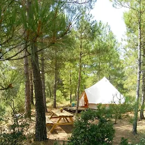 Forest Days España